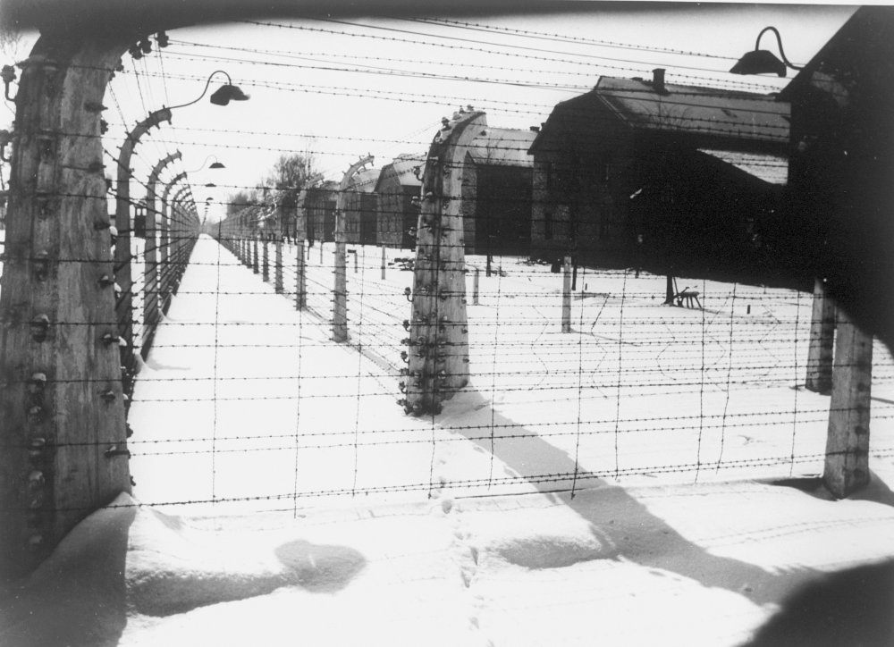 Eighty years on: honouring memory, upholding humanity